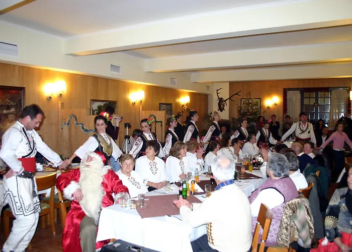 中央酒店 3* 阿普里尔齐