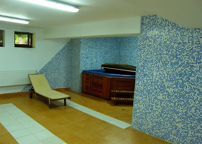 酒店 中央酒店 3*