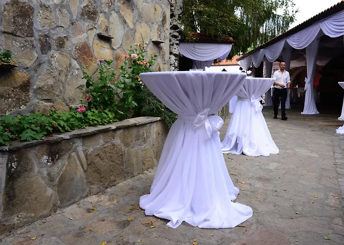 酒店 中央酒店 3*